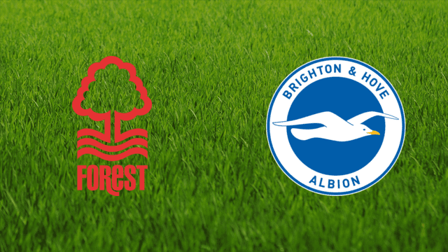 Soi kèo 12betvn Brighton vs Nottingham, 19/10/2022 - Ngoại hạng Anh