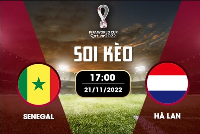 Soi kèo 12betvn Senegal vs Hà Lan, 21/11/2022 - World Cup